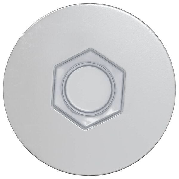 vidaXL Potvrđivački vijci 2 pcs Srebrno &Oslash;7 x 50 mm Metal