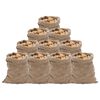 vidaXL Jutene vreće 10 kom 60x105 cm 100 % juta 220 g/m&sup2;