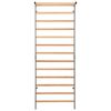vidaXL Gimnastičke ljestve za penjanje unutarnje 90 x 30 x 236 cm