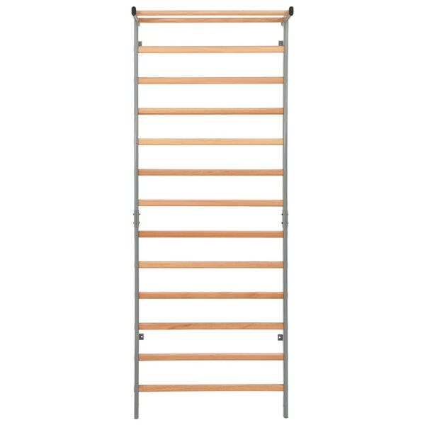 vidaXL Gimnastičke ljestve za penjanje unutarnje 90 x 30 x 236 cm