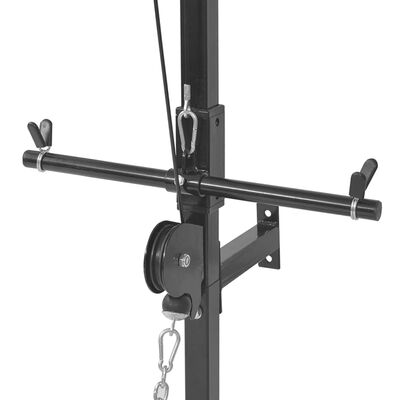 vidaXL Zidna sprava za vježbanje s pločama za utege 40 kg