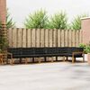 vidaXL Set vanjskih sofa s jastukom 6 pcs Prirodna i crna