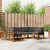 vidaXL Set vanjskih sofa s jastukom 6 pcs Prirodna i antracit