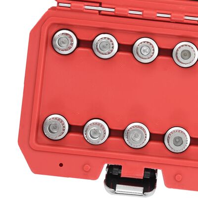 vidaXL 10-dijelni set ključeva za matice za zaključavanje kotača BMW