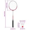 vidaXL Set za badminton s 4 reketa i mrežom 620 x 151 cm