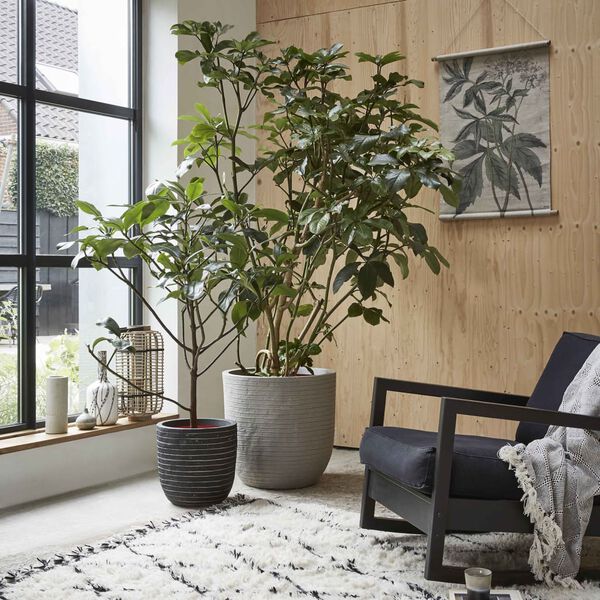 Capi posuda za sadnju Nature Row 54 x 52 cm antracit KRWZ935