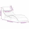 vidaXL Ležaljka za sunčanje 2 pcs Svijetlo siva 184 x 55 x 64cm