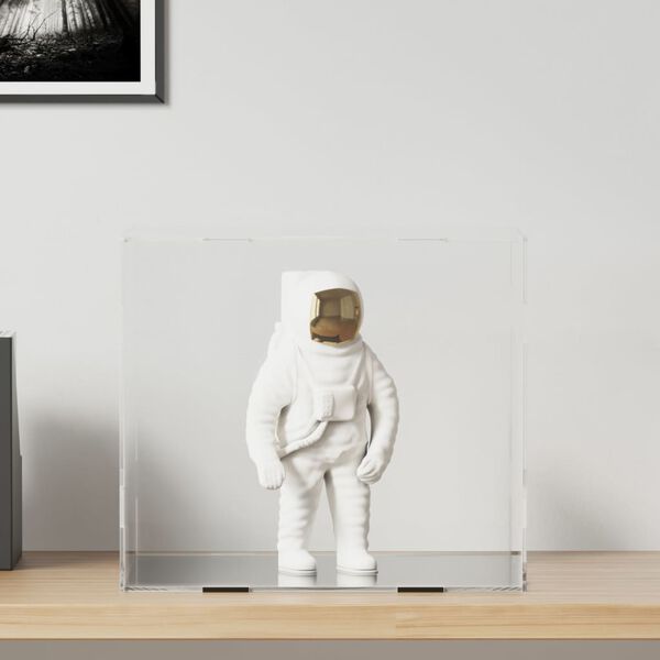 vidaXL Kutija za izlaganje prozirna 40x36x35 cm akrilna