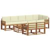 vidaXL Set vanjskih sofa s jastukom 9 pcs Prirodna i krem