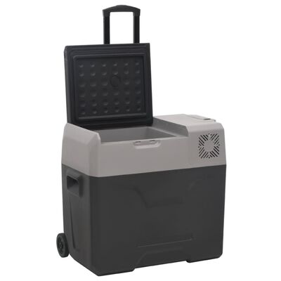 vidaXL Prijenosni hladnjak s kotačima i adapterom crno-sivi 50 L PP