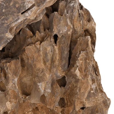 vidaXL Zmajevo kamenje 10 kg Raznobojna 10 - 30 cm