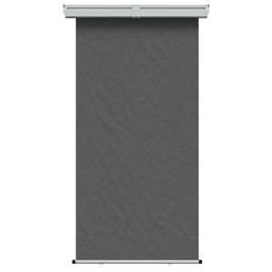 vidaXL Balkonski bočni awning 100% poliester, željezo, čelik