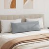vidaXL Jastučići za sofu 2 pcs Svijetlo siva 120 x 40 cm tkanina