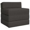 vidaXL Sofa na razvlačenje Tamnosiva 200 x 70 x 10 cm Tkanina