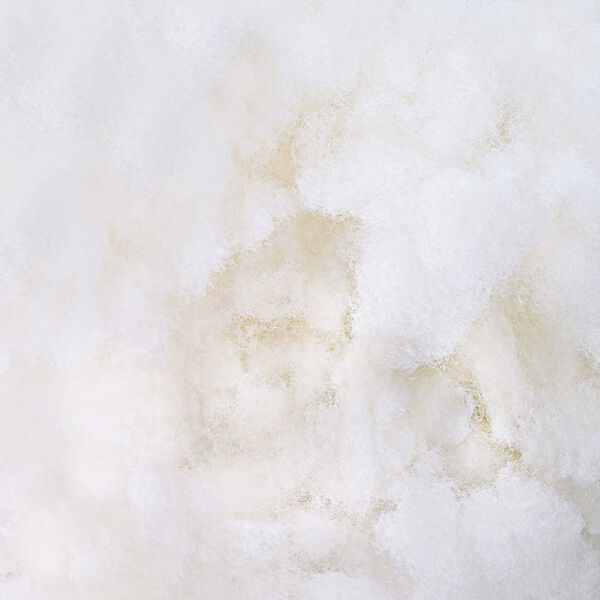 vidaXL Vlakno Punjenje Bijeli 2,5 kg Poliester