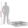 vidaXL Gabionski uzdignuti krevet Srebrno 100 x 100 x 20 cm