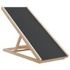 vidaXL Rampa za pse siva 100 x 40 cm od masivne jelovine