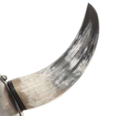 vidaXL Fantastična vikinška kaciga za LARP srebrna čelična