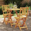 vidaXL Bistro set 3 pcs Prirodna nafta Čvrsto drvo akacije