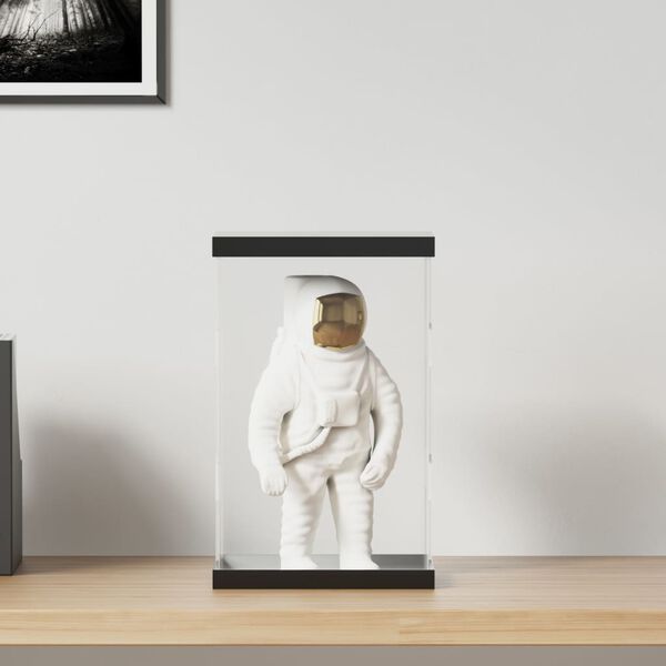 vidaXL Kutija za izlaganje prozirna 22 x 18 x 35 cm akrilna