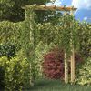 vidaXL Pergola/luk za ruže 150 x 60 x 204 cm od impregniranog drva