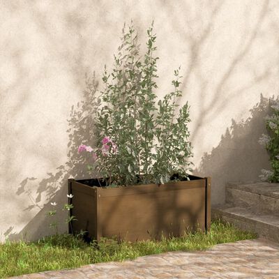 vidaXL Vrtne sadilice 2 kom boja meda 100x50x50 cm od masivne borovine