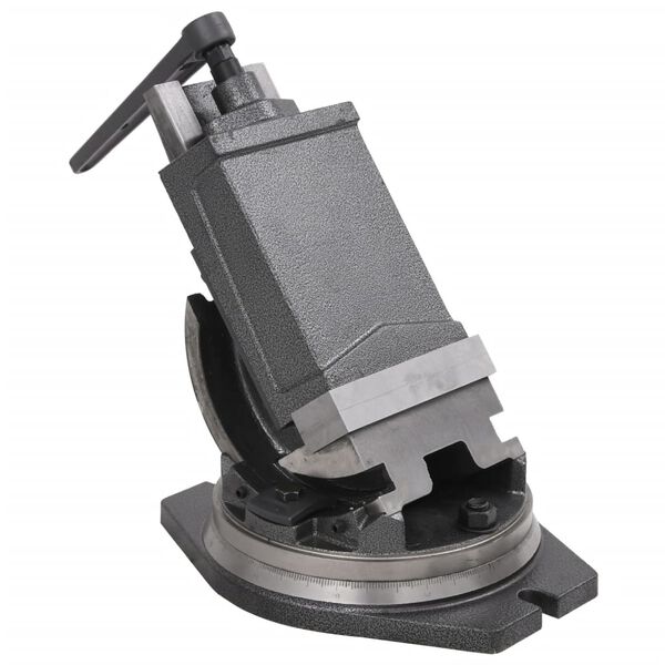 vidaXL Nagibna stega s 2 osovine 160 mm