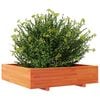 vidaXL Vrtna sadilica voštano smeđa 100x100x26,5 cm masivna borovina