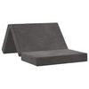 vidaXL Sofa na razvlačenje 100 x 67 x 45 cm Tamnosiva