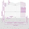 vidaXL Vrtna ograda Woerden s vrhom koplja crna 240x175 cm čelična