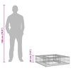 vidaXL Gabionski uzdignuti krevet Srebrno 80 x 80 x 20 cm