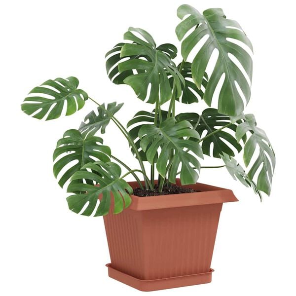 Prikazuje se slika proizvoda 3 od 10