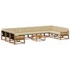 vidaXL Set vanjskih sofa s jastukom 11 pcs Prirodna i bež