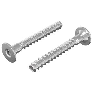 vidaXL Potvrđivački vijci 2 pcs Srebrno &Oslash;5 x 40 mm Metal