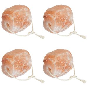 vidaXL Stijene za Licking Soli Ružičasta Soli od kamena