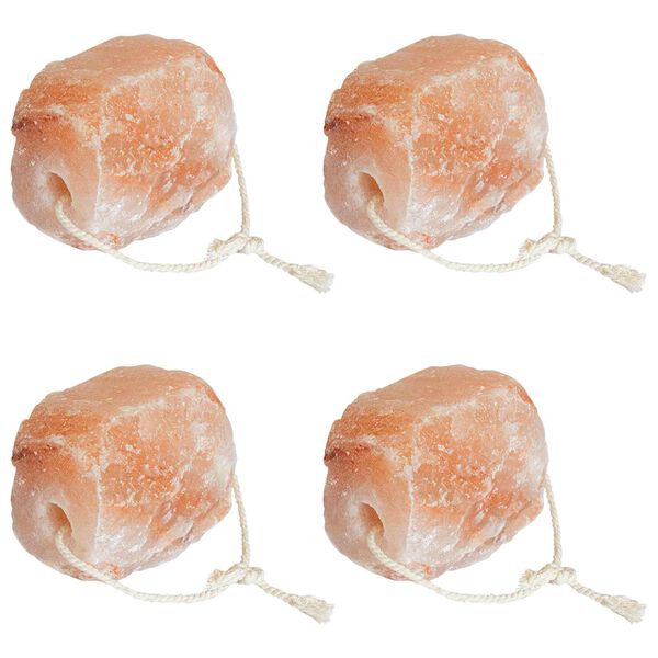 vidaXL Stijene za Licking Soli Ružičasta Soli od kamena