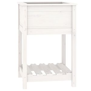vidaXL Sadilica s policom bijela 54x54x81 cm od masivne borovine