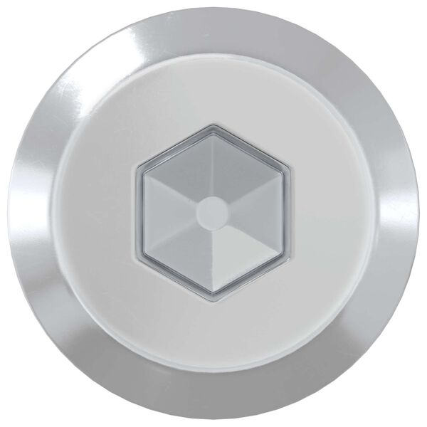 vidaXL Namje&scaron;tajni vijci 2 pcs Srebrno M6 x 100 mm Čelik