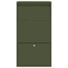 vidaXL Sandučić za pakete Maslinasto zelena 44 x 22 x 82 cm Čelik