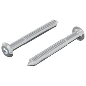 vidaXL Vijak 2 pcs Srebrno M6 x 50 mm Čelik