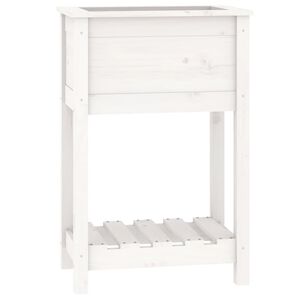 vidaXL Sadilica s policom bijela 54 x 34,5 x 81 cm od masivne borovine