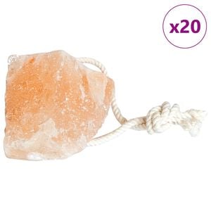 vidaXL Stijene za Licking Soli Ružičasta Soli od kamena