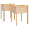 vidaXL Vrtne sadilice 2 kom 50 x 50 x 70 cm od masivne borovine