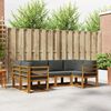 vidaXL Set vanjskih sofa s jastukom 6 pcs Prirodna i antracit