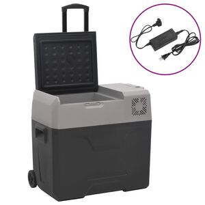 vidaXL Prijenosni hladnjak s kotačima i adapterom crno-sivi 40 L PP
