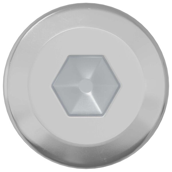 vidaXL Vijak za zaključavanje 2 pcs Srebrno M6 x 12 mm Čelik