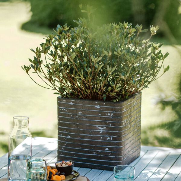 Capi posuda za sadnju Nature Row četvrtasta 30 x 30 x 30 cm maslinasta