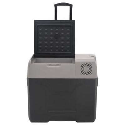 vidaXL Prijenosni hladnjak s kotačima i ručkom crno-sivi 40 L PP