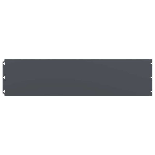 vidaXL Rubovi za travnjak 10 kom Antracit Hladno valjani čelik