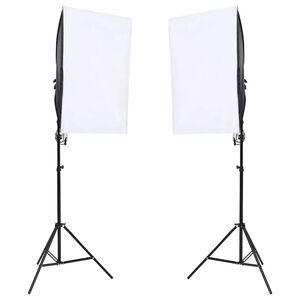 vidaXL Profesionalna studijska svjetla 2 kom 40 x 60 cm